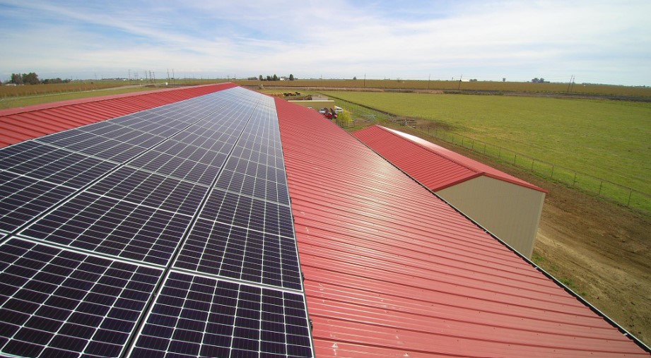 agro farm paneli s fotovoltaiko fotka